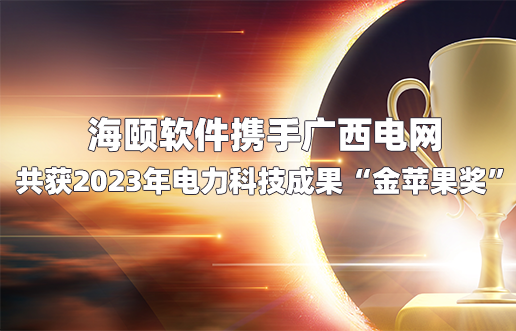 谈球吧官网软件携手广西电网共获2023年电